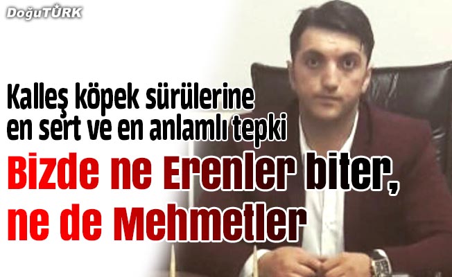 Başkan Özkan, Maçka’daki kalleş saldırıyı lanetledi