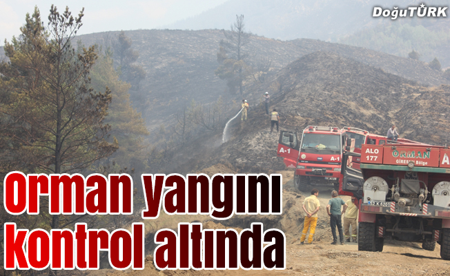 Erzurum'daki orman yangını kontrol altına alındı