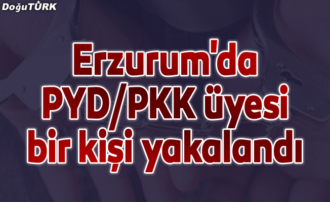 Erzurum'da PYD/PKK üyesi bir kişi yakalandı