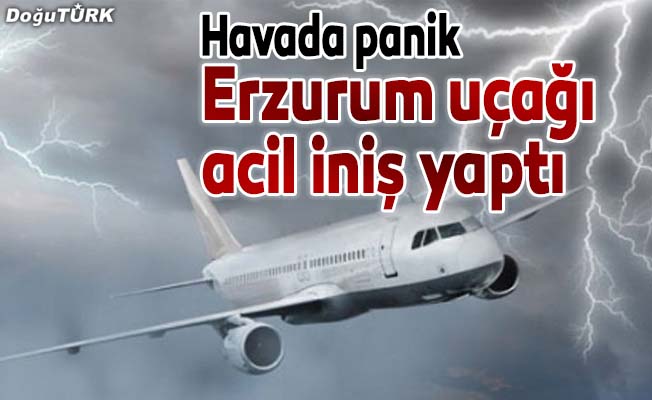 Erzurum uçağı, Trabzon'a acil iniş yaptı