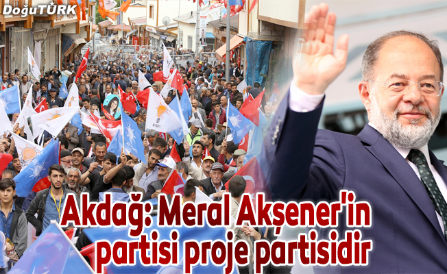 "Meral Akşener'in partisi proje partisidir"