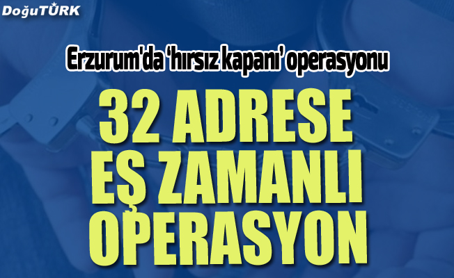 Erzurum'da ‘hırsız kapanı’ operasyonu: 14 kişi yakalandı
