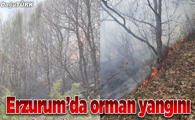 Erzurum'da orman yangını
