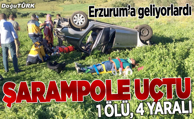 Erzurum'a gelirken kaza yaptılar
