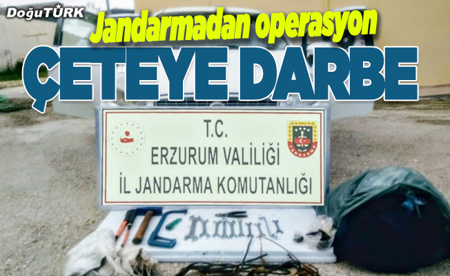 Erzurum'da hırsızlık çetesi operasyonu