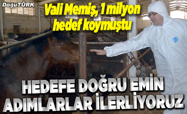Erzurum'da büyükbaş hayvan sayısında hedef 1 milyon