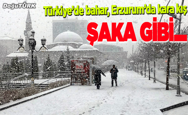 Erzurum yoğun kar yağışıyla beyaza büründü