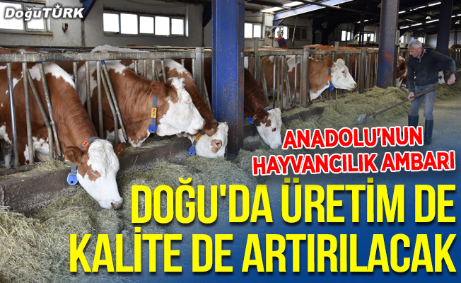 "Anadolu'nun hayvancılık ambarı" Doğu'da üretim de kalite de artırılacak