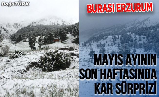 Erzurum'da mayıs ayının son haftasında kar sürprizi