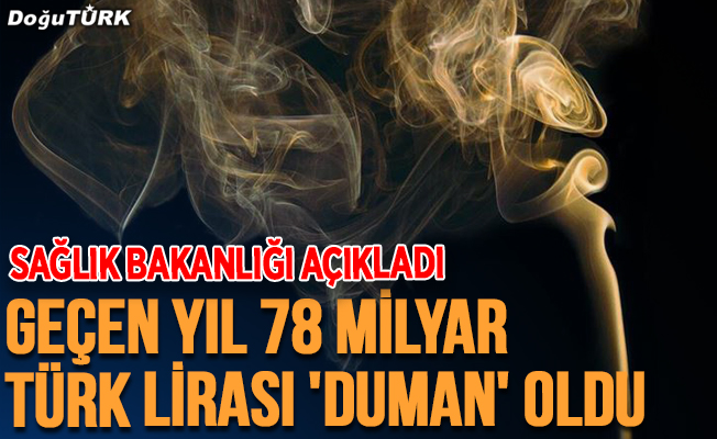 Geçen yıl 78 milyar Türk lirası 'duman' oldu