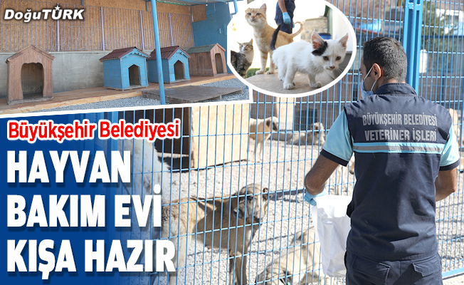 Erzurum Büyükşehir Belediyesi Hayvan Bakım Evi kışa hazır