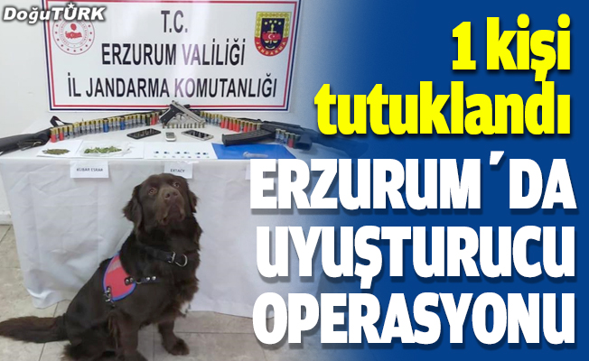 Erzurum'daki uyuşturucu operasyonunda bir kişi tutuklandı