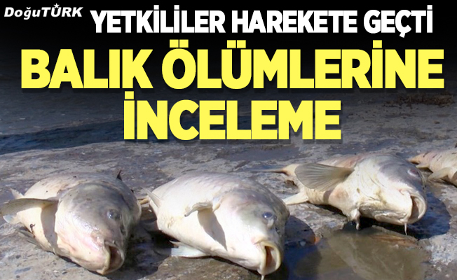 Erzurum’da balık ölümlerine inceleme