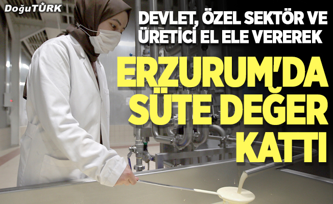 Devlet, özel sektör ve üretici el ele vererek Erzurum'da süte değer kattı