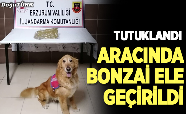 Erzurum'da aracında uyuşturucu ele geçirilen zanlı tutuklandı