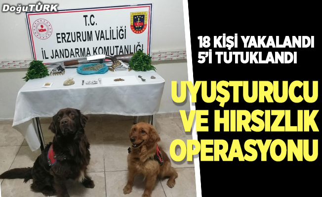 Erzurum'da uyuşturucu ve hırsızlık operasyonu