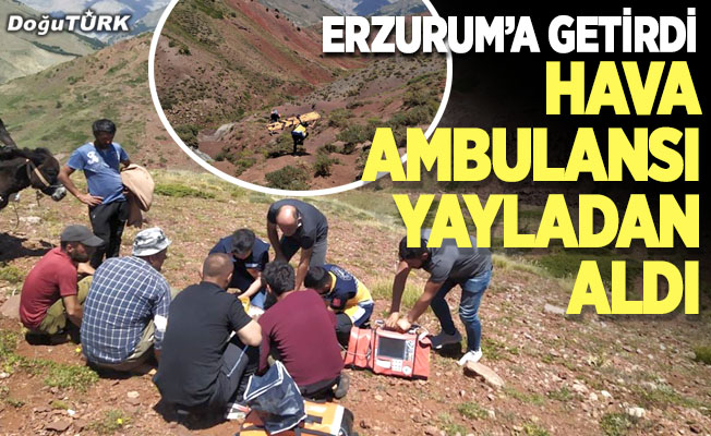 Hava ambulansı yayladan aldı, Erzurum’a getirdi