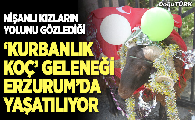 ‘Kurbanlık Koç’ geleneği Erzurum’da yaşatılıyor