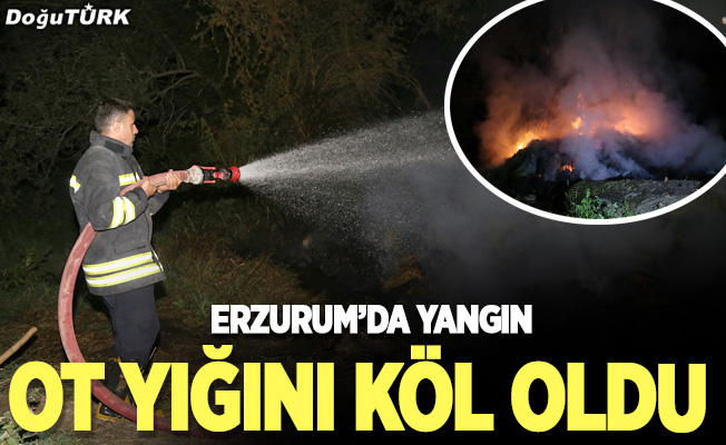 Erzurum’da yangın; Ot yığını kül oldu