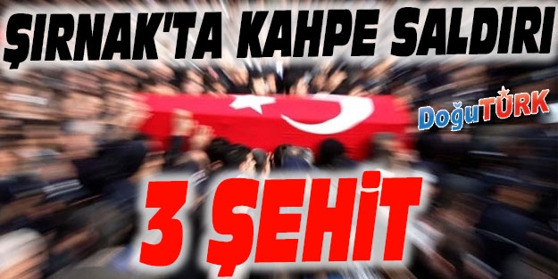 ŞIRNAK'TA KAHPE PUSU: 3 ŞEHİT VAR!