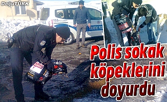POLİS SOKAK KÖPEKLERİNİ DOYURDU