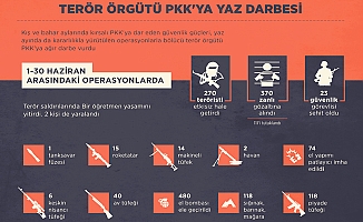 Terör örgütü PKK'ya yaz darbesi
