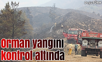 Erzurum'daki orman yangını kontrol altına alındı