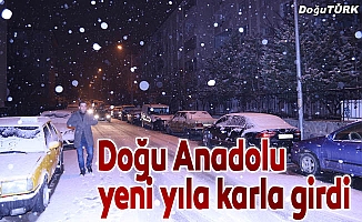 Doğu Anadolu yeni yıla kar yağışıyla girdi