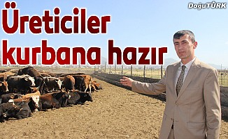 Erzurumlu üreticiler Kurban Bayramı'na hazır