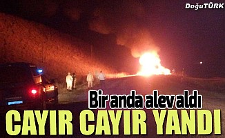 Erzurum'da ot yüklü kamyon yandı