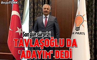 Başkanvekili Tavlaşoğlu aday adayı oldu