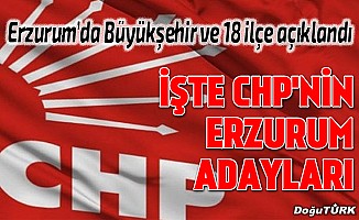 CHP Erzurum adaylarını açıkladı