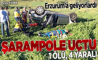 Erzurum'a gelirken kaza yaptılar