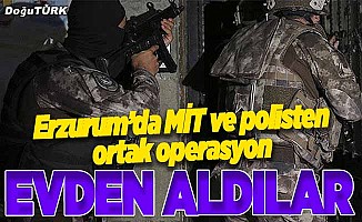 Terör örgütü PKK'ya MİT ve polisten ortak operasyon