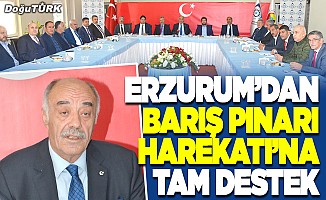 Erzurum’dan Barış Pınarı Harekatı’na tam destek