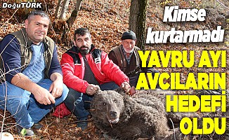 Erzurum'da boz ayıyı vurdular