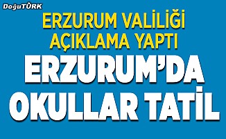 Erzurum'da okullar tatil!