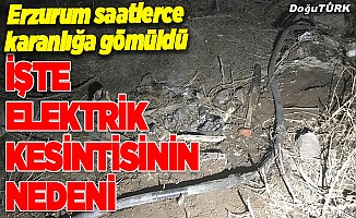 Erzurum’daki elektrik kesintisinin sebebi belli oldu