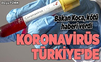Koronavirüs Türkiye'de