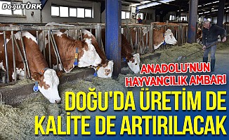 "Anadolu'nun hayvancılık ambarı" Doğu'da üretim de kalite de artırılacak
