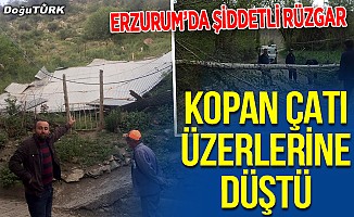 Erzurum'da şiddetli rüzgar; Çatılar uçtu, ağaçlar devrildi