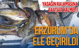 Erzurum’da avlanması yasak balıkla yakalandılar