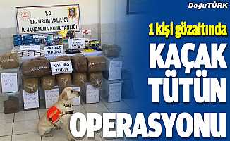 Erzurum'da kaçak tütün operasyonunda bir kişi yakalandı