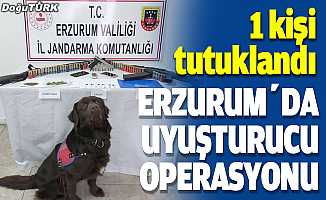 Erzurum'daki uyuşturucu operasyonunda bir kişi tutuklandı