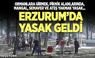 Erzurum'da ormanlık alanlara girmek yasaklandı
