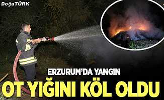 Erzurum’da yangın; Ot yığını kül oldu